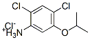 2,4-dichloro-5-isopropoxyanilinium chloride Structure