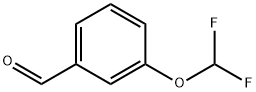 85684-61-3 3-(Difluoromethoxy)benzaldehyde