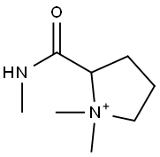 Pyrrolidinium,  1,1-dimethyl-2-[(methylamino)carbonyl]- Structure