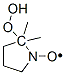 5,5-dimethyl-5-hydroperoxy-1-pyrrolidinyloxy 구조식 이미지