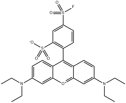 SULFORHODAMINE B 5-ACID FLUORIDE 구조식 이미지