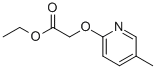 (5-METHYL-PYRIDIN-2-YLOXY)-아세트산에틸에스테르 구조식 이미지