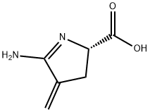 2H-Pyrrole-2-carboxylic  acid,  5-amino-3,4-dihydro-4-methylene-,  (2S)- Structure