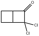Bicyclo[2.2.0]hexanone,  3,3-dichloro-  (9CI) Structure