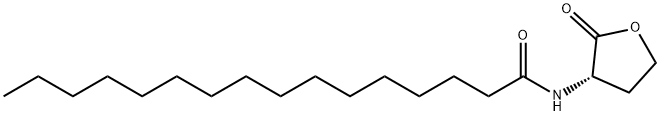 N-hexadecanoyl-L-Homoserine lactone Structure