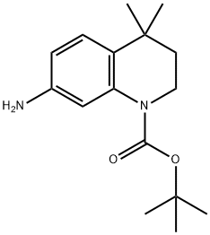 7-아미노-4,4-디메틸-3,4-디히드로-2H-퀴놀린-1-카르복실산tert-부틸에스테르 구조식 이미지