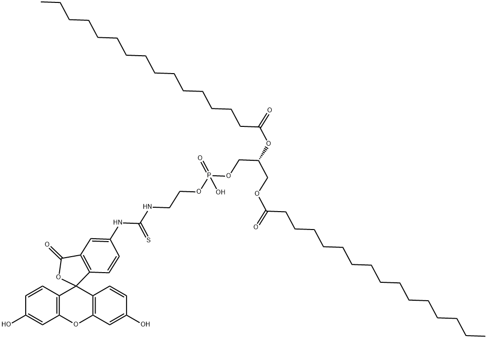 Fluorescein-DipalMitoylphosphatidylethanolaMine 구조식 이미지