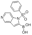 1-(페닐술포닐)-1H-피롤로[3,2-c]피리딘-2-일보론산 구조식 이미지