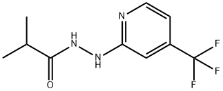 PROPANOIC ACID, 2-METHYL-, 2-[4-(TRIFLUOROMETHYL)-2-PYRIDINYL]HYDRAZIDE Structure