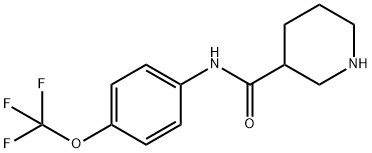 PIPERIDINE-3-CARBOXYLIC ACID (4-TRIFLUOROMETHOXY-PHENYL)-AMIDE Structure