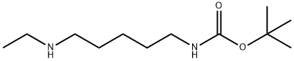 TERT-BUTYL 5-(ETHYLAMINO)PENTYLCARBAMATE Structure