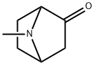 7-Methyl-7-Azabicyclo[2.2.1]heptan-2-one Structure