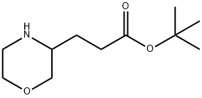 TERT-부틸3-MORPHOLIN-3-YL-프로피오네이트 구조식 이미지