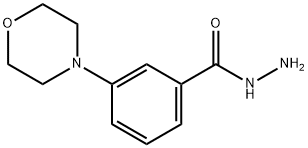 3-(4-Morpholinyl)benzoic Acid Hydrazide Structure
