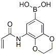 Boronic  acid,  [2,3-dihydro-8-[(1-oxo-2-propenyl)amino]-1,4-benzodioxin-6-yl]-  (9CI) 구조식 이미지