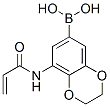 Boronic  acid,  [2,3-dihydro-8-[(1-oxo-2-propenyl)amino]-1,4-benzodioxin-6-yl]-  (9CI) Structure