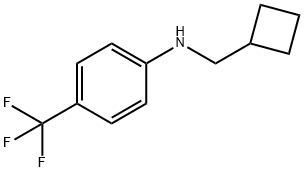 시클로부틸메틸-(4-트리플루오로메틸-페닐)-아민 구조식 이미지
