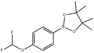 4-Difluoromethoxyphenylboronic acid pinacol ester 구조식 이미지