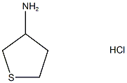 Thiolan-3-amine hydrochloride Structure