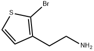 2-(2-bromothiophen-3-yl)ethanamine
 구조식 이미지