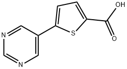 5-pyrimidin-5-ylthiophene-2-carboxylic acid 구조식 이미지