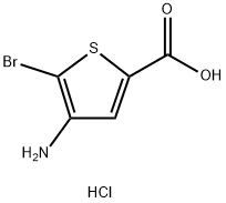 4-AMino-5-broMothiophene-2-carboxylic acid hydrochloride Structure