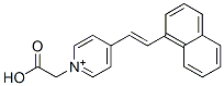 NCNPP Structure