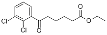 ETHYL 6-(2,3-DICHLOROPHENYL)-6-OXOHEXANOATE Structure
