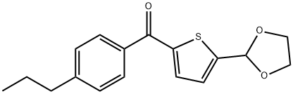 5-(1,3-DIOXOLAN-2-YL)-2-(4-PROPYLBENZOYL)THIOPHENE 구조식 이미지