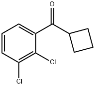 CYCLOBUTYL 2,3-DICHLOROPHENYL KETONE Structure