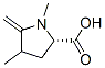 Proline, 1,4-dimethyl-5-methylene- (7CI) Structure