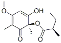 (R)-2-메틸부티르산(R)-1,3-디메틸-2-옥소-4-메톡시-6-히드록시-3,5-시클로헥사디에닐에스테르 구조식 이미지