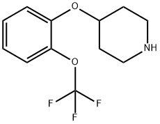 4-(2-TRIFLUOROMETHOXY-PHENOXY)-PIPERIDINE Structure