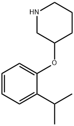 3-(2-ISOPROPYL-PHENOXY)-PIPERIDINE Structure