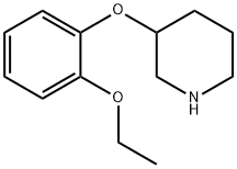 3-(4-ETHOXYPHENOXY)PIPERIDINE Structure