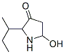 3-Pyrrolidinone,  5-hydroxy-2-(1-methylpropyl)- Structure