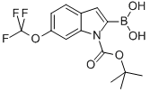 1H-인돌-1-카르복실산,2-보로노-6-(트리플루오로메톡시)-,1-(1,1-디메틸에틸)에스테르 구조식 이미지