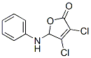 2(5H)-푸라논,3,4-디클로로-5-(페닐아미노)- 구조식 이미지