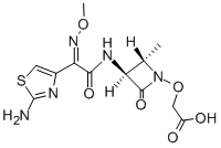 Oximonam Structure