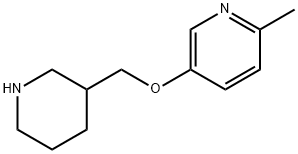 2-METHYL-5-(3-PIPERIDINYLMETHOXY)PYRIDINE Structure