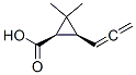 Cyclopropanecarboxylic acid, 2,2-dimethyl-3-(1,2-propadienyl)-, (1R-cis)- (9CI) Structure