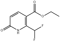 919354-84-0 ethyl 2-(difluoroMethyl)-6-hydroxynicotinate