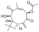 naematolon Structure