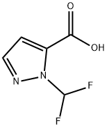2-DIFLUOROMETHYL-2 H-PYRAZOLE-3-CARBOXYLIC ACID 구조식 이미지