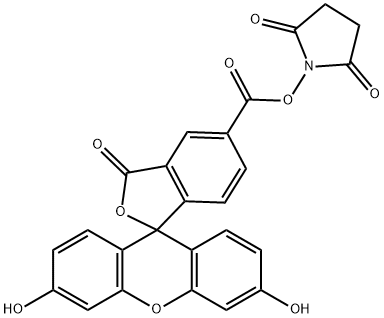 92557-80-7 5-Carboxyfluorescein N-succinimidyl ester