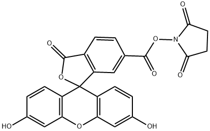 6-CARBOXYFLUORESCEIN N-SUCCINIMIDYL ESTER Structure