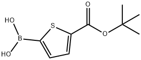 5-TERT-부톡시카르보닐티오펜-2-보론산 구조식 이미지