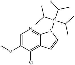 1H-Pyrrolo[2,3-b]pyridine, 4-chloro-5-methoxy-1-[tris(1-methylethyl)silyl]- 구조식 이미지