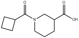 1-(CYCLOBUTYLCARBONYL)-3-PIPERIDINECARBOXYLIC ACID Structure