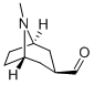 8-Azabicyclo[3.2.1]octane-3-carboxaldehyde, 8-methyl-, exo- (9CI) Structure